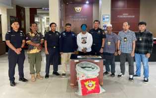 Penyelundupan Sisik Trenggiling di Riau Terungkap, Pelaku Terancam 20 Tahun Penjara