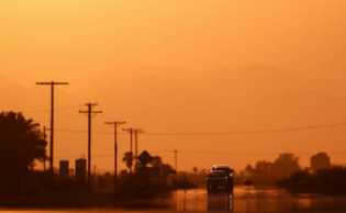 1.000 Orang Meninggal Dunia Akibat Gelombang Panas, Simak Bahayanya!