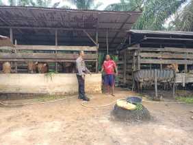 Bhabinkamtibmas Bangko Makmur Dukung Ketahanan Pangan Lewat Program Asta Cita