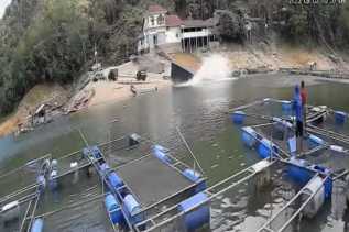 Rem Blong, Truk Bermuatan Pakan Ikan Terjun ke Danau PLTA Kampar