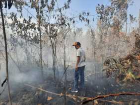 Polisi Ringkus 34 Orang Pelaku Kebakaran Lahan, Paling Banyak di Rohil